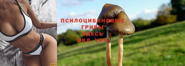 MESCALINE Богородицк